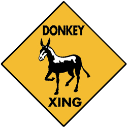 donkey