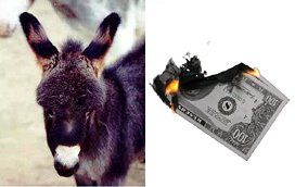 Donkey cash on fire