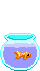 Fishbowl Fishbowl